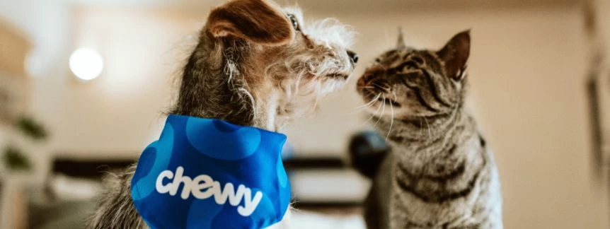 chewy